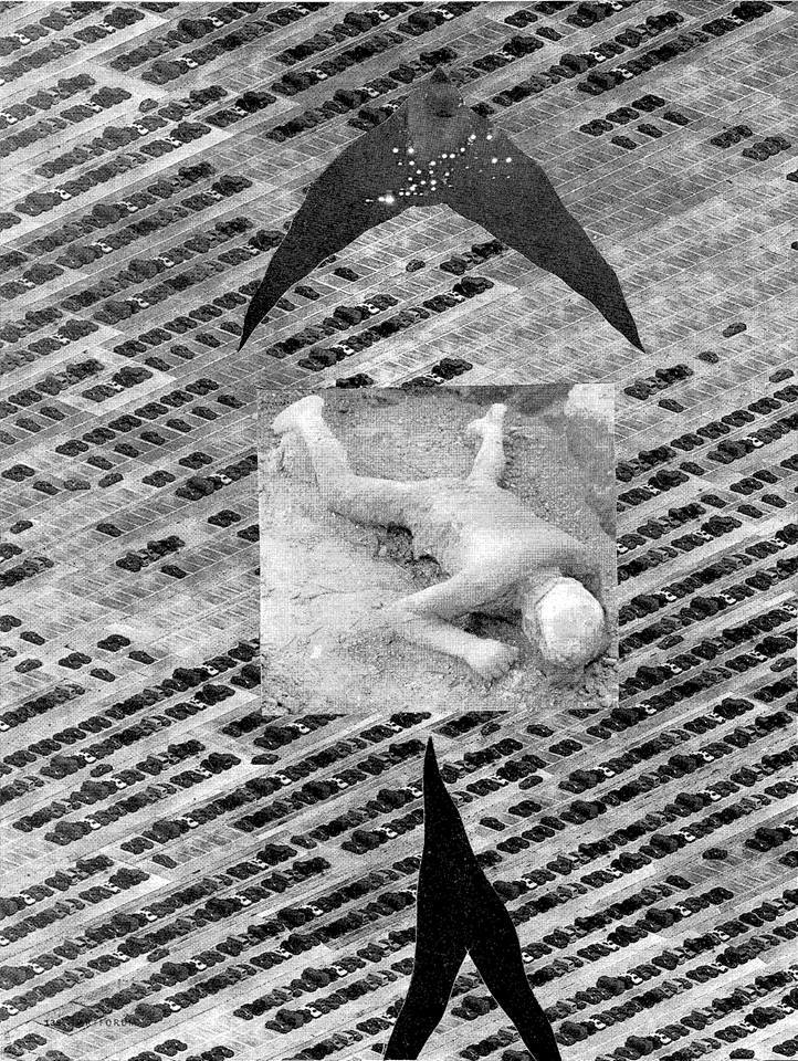 Archillect ID 127293