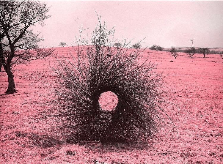 Archillect ID 127311
