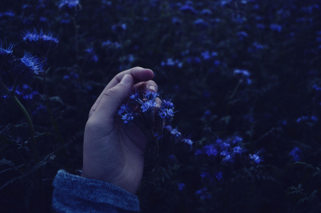Archillect ID 127398