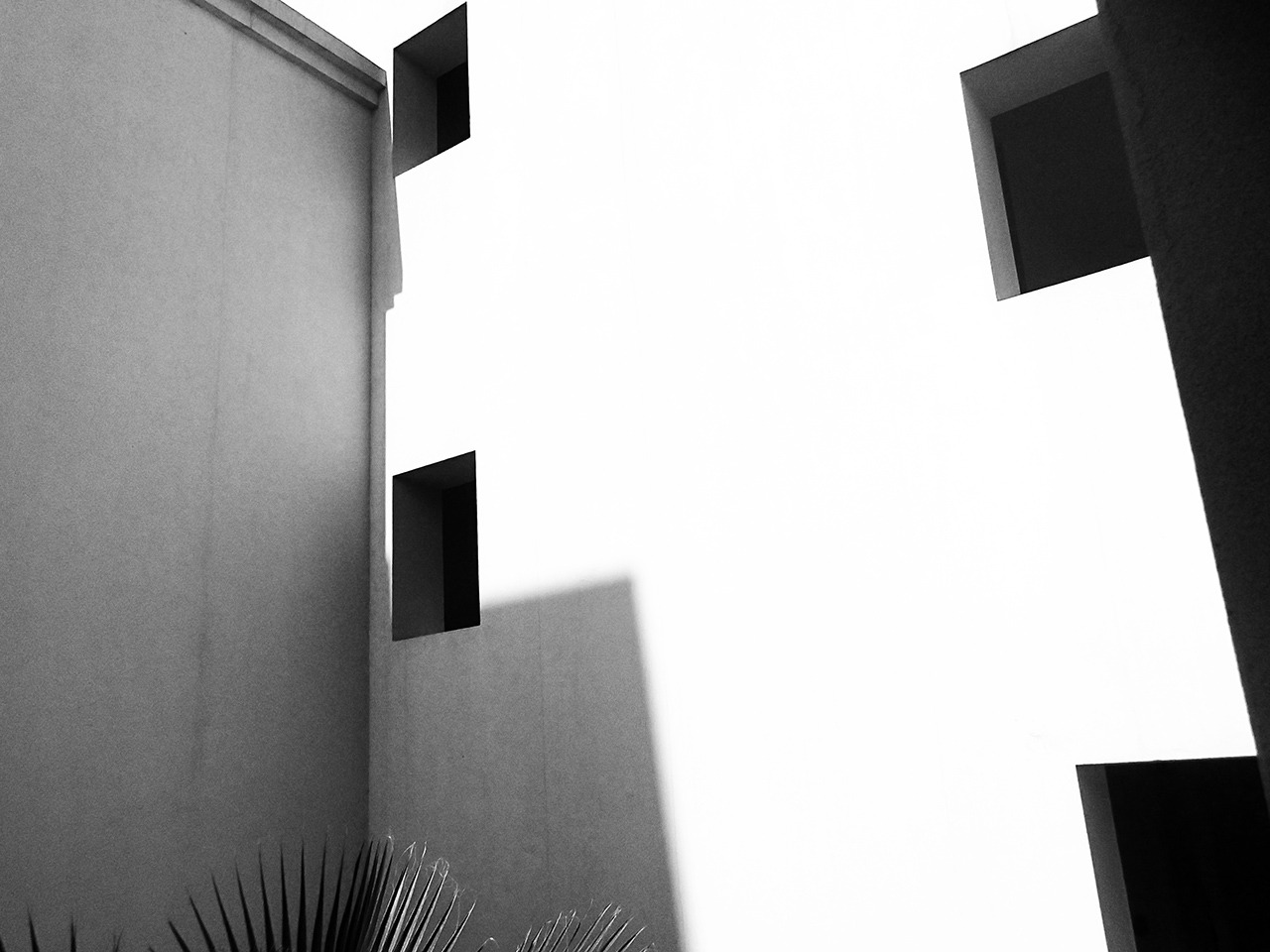 Archillect ID 127461