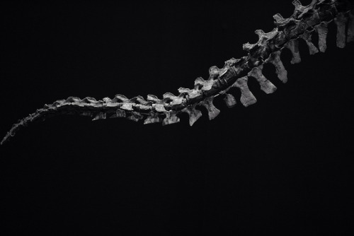 Archillect ID 127523