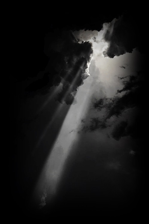 Archillect ID 127556
