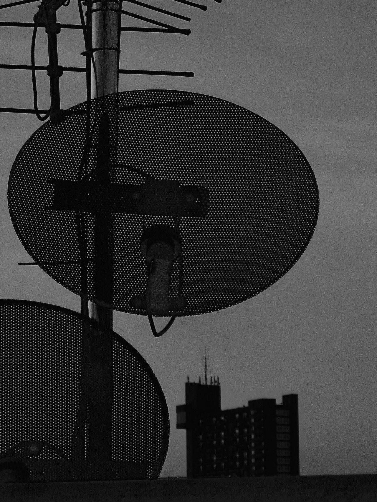Archillect ID 127561