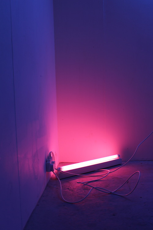 Archillect ID 128477