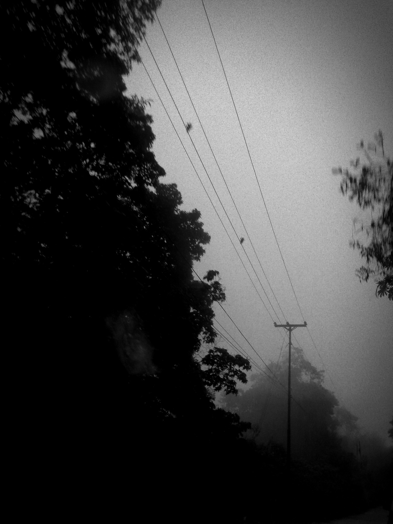 Archillect ID 128554