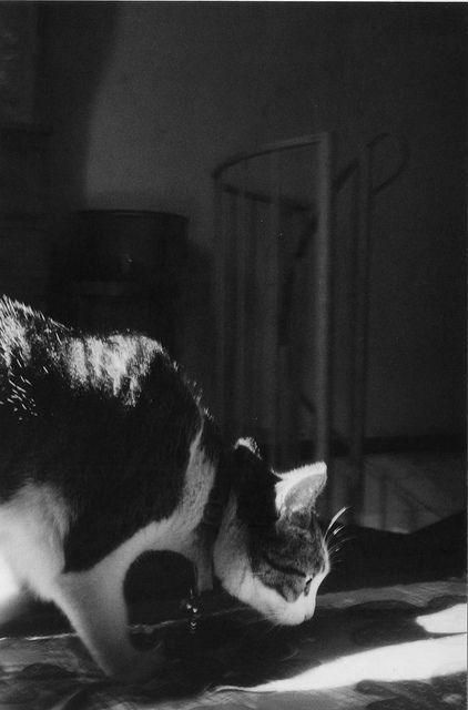Archillect ID 128700
