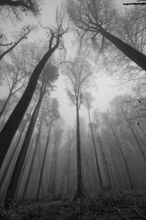 Archillect ID 129015