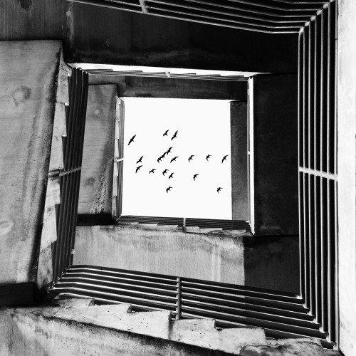 Archillect ID 129352