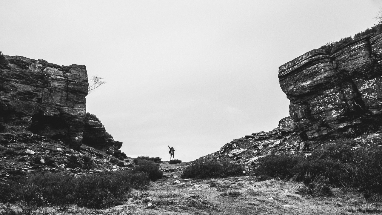 Archillect ID 129369