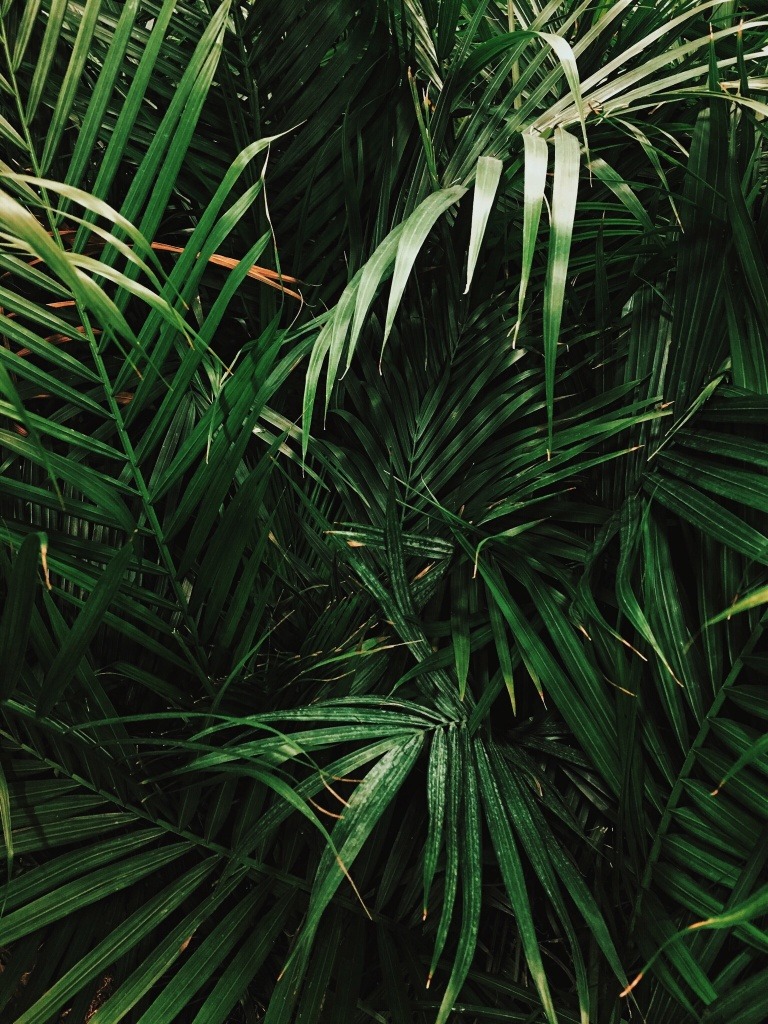 Archillect ID 129643