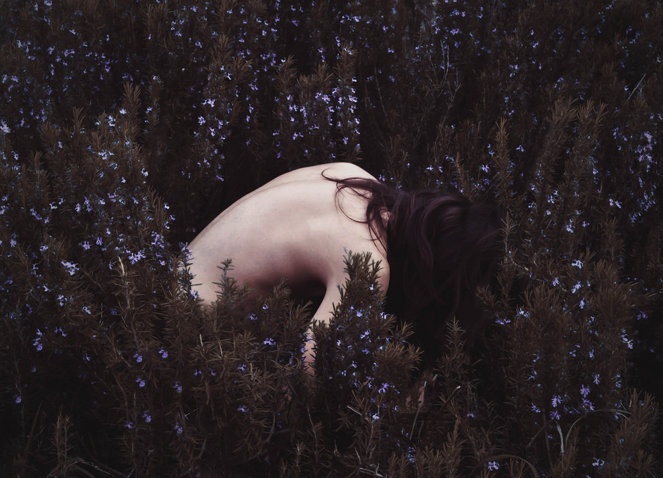 Archillect ID 129888