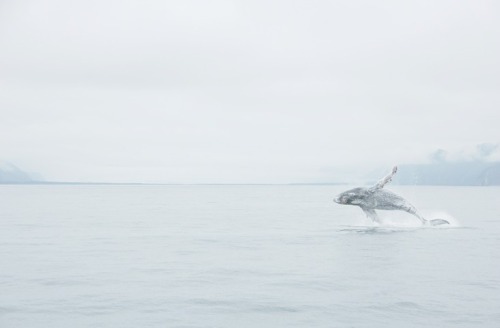Archillect ID 129909