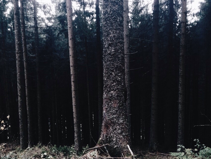 Archillect ID 129971