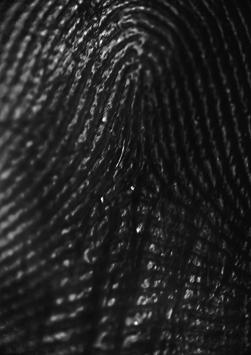 Archillect ID 130103