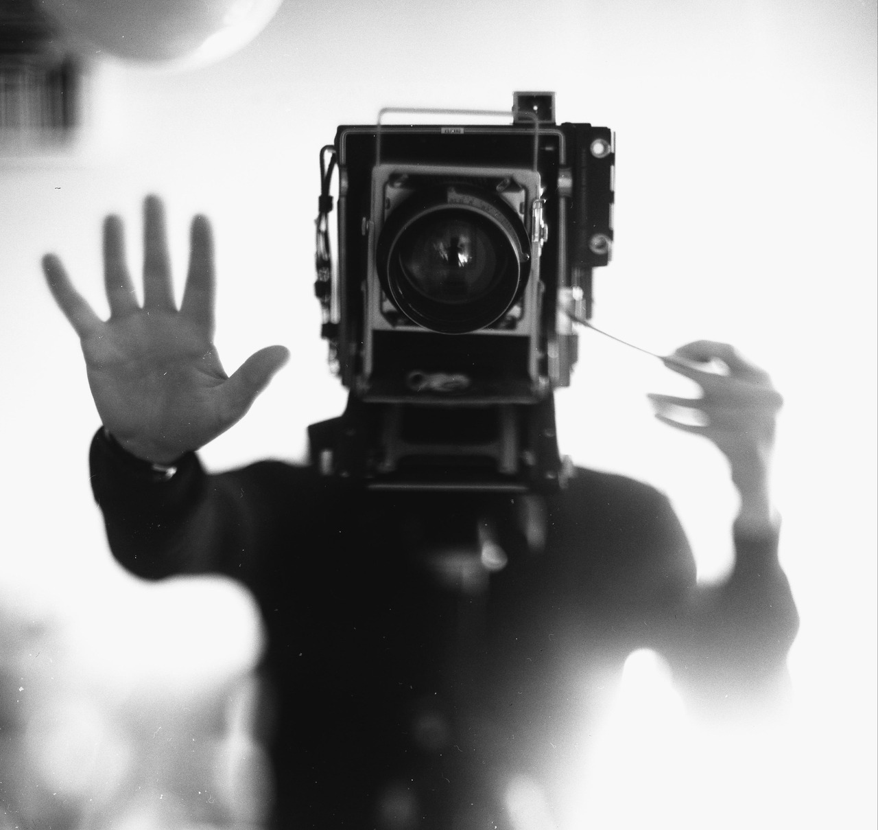 Archillect ID 130136