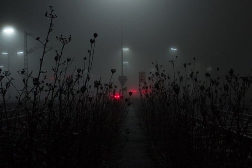 Archillect ID 130211