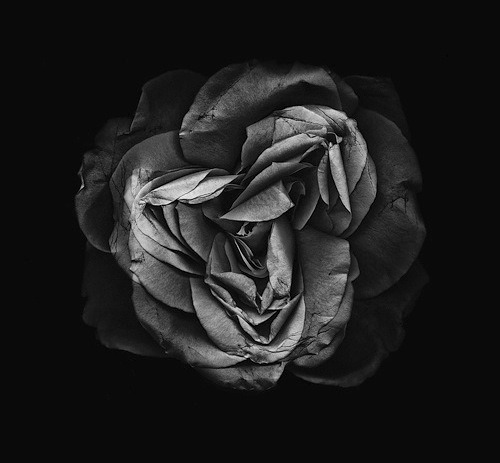 Archillect ID 130421