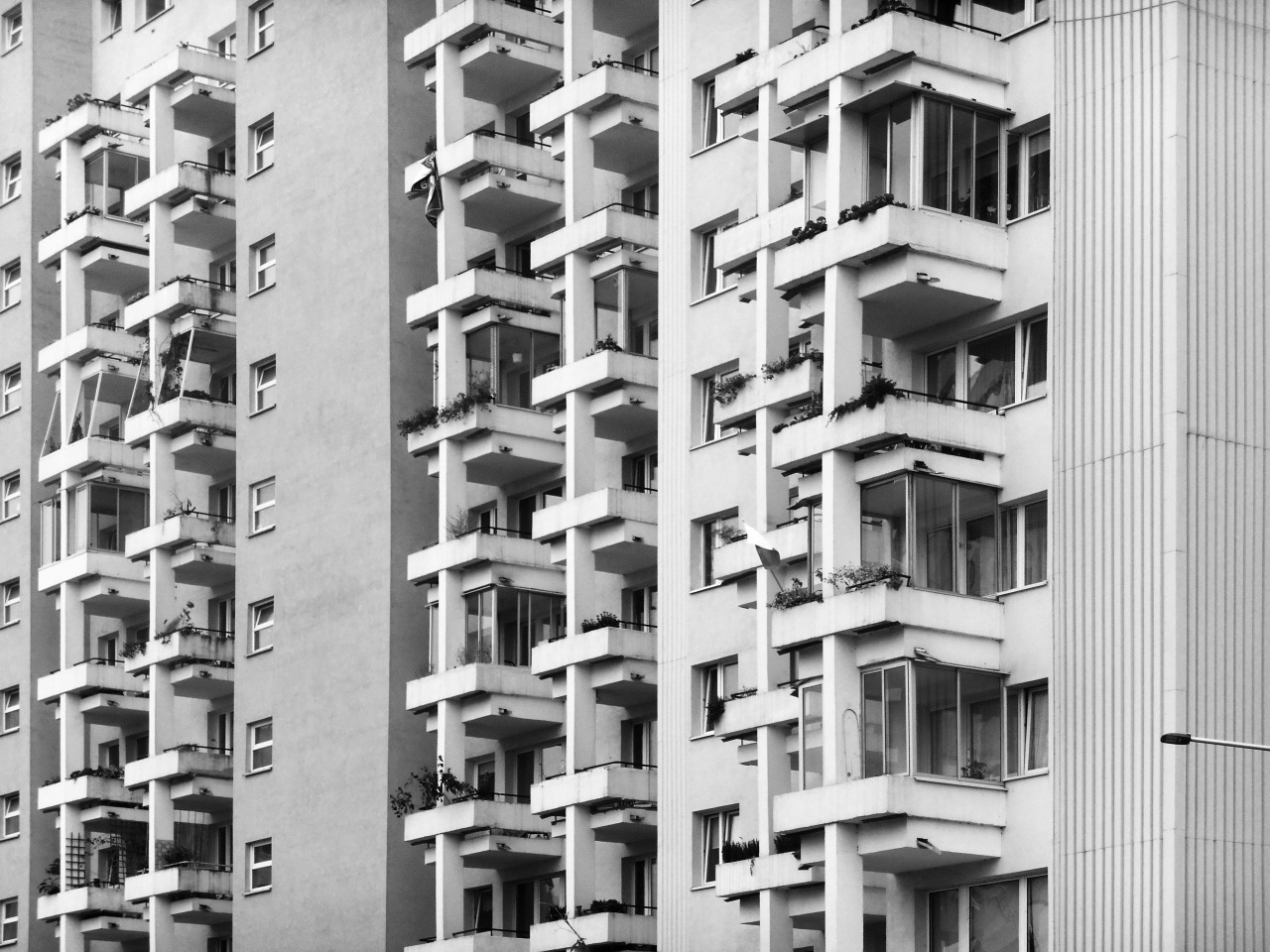 Archillect ID 130535