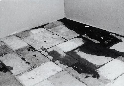 Archillect ID 130843