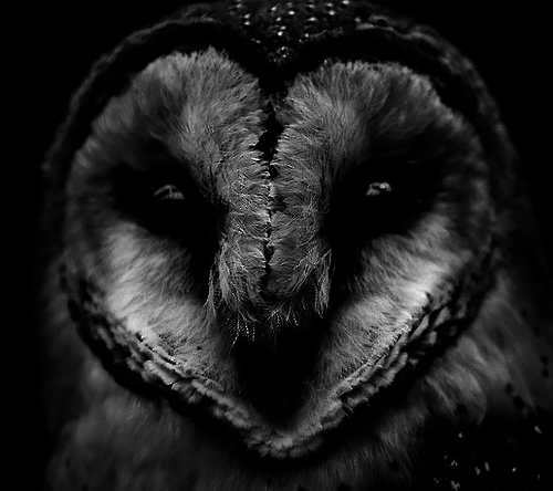 Archillect ID 130850