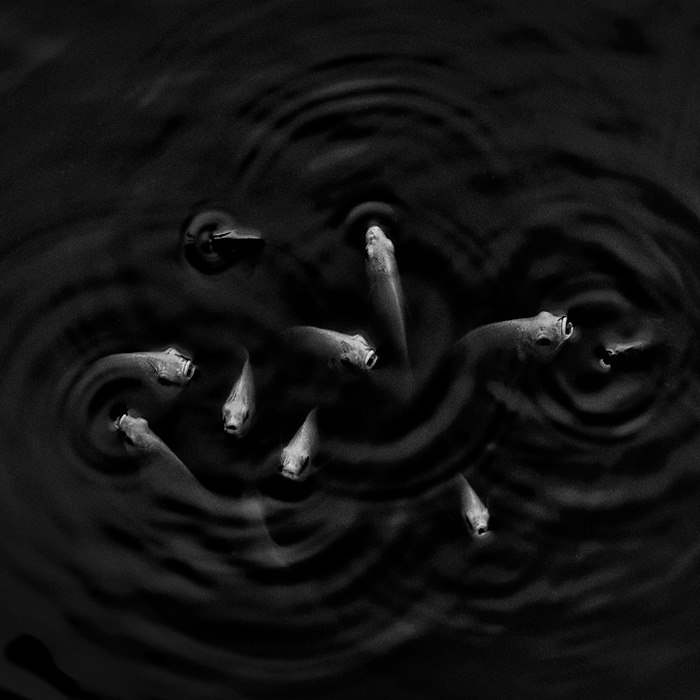 Archillect ID 130923