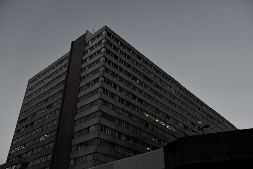 Archillect ID 130977