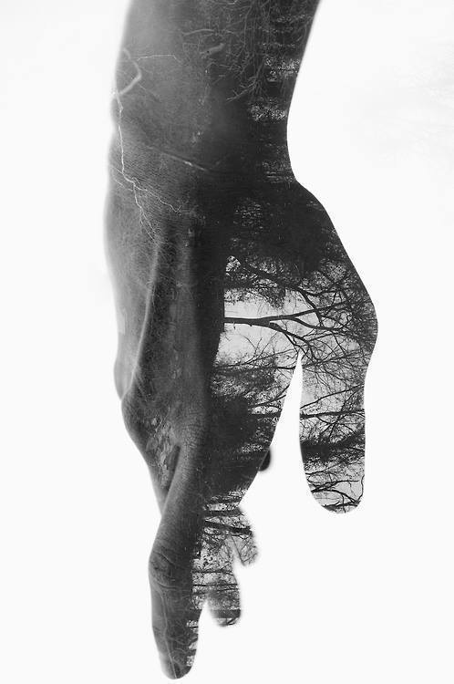 Archillect ID 131035