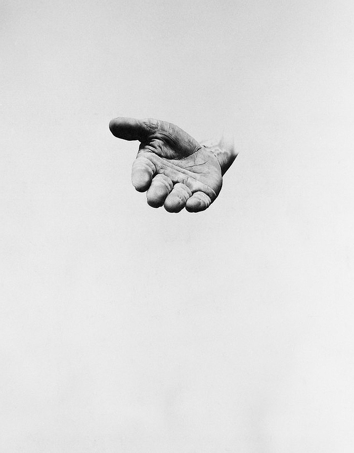 Archillect ID 131071