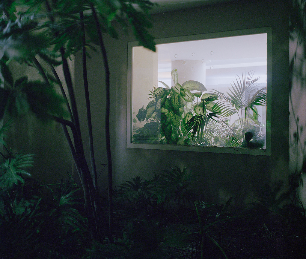 Archillect ID 131099