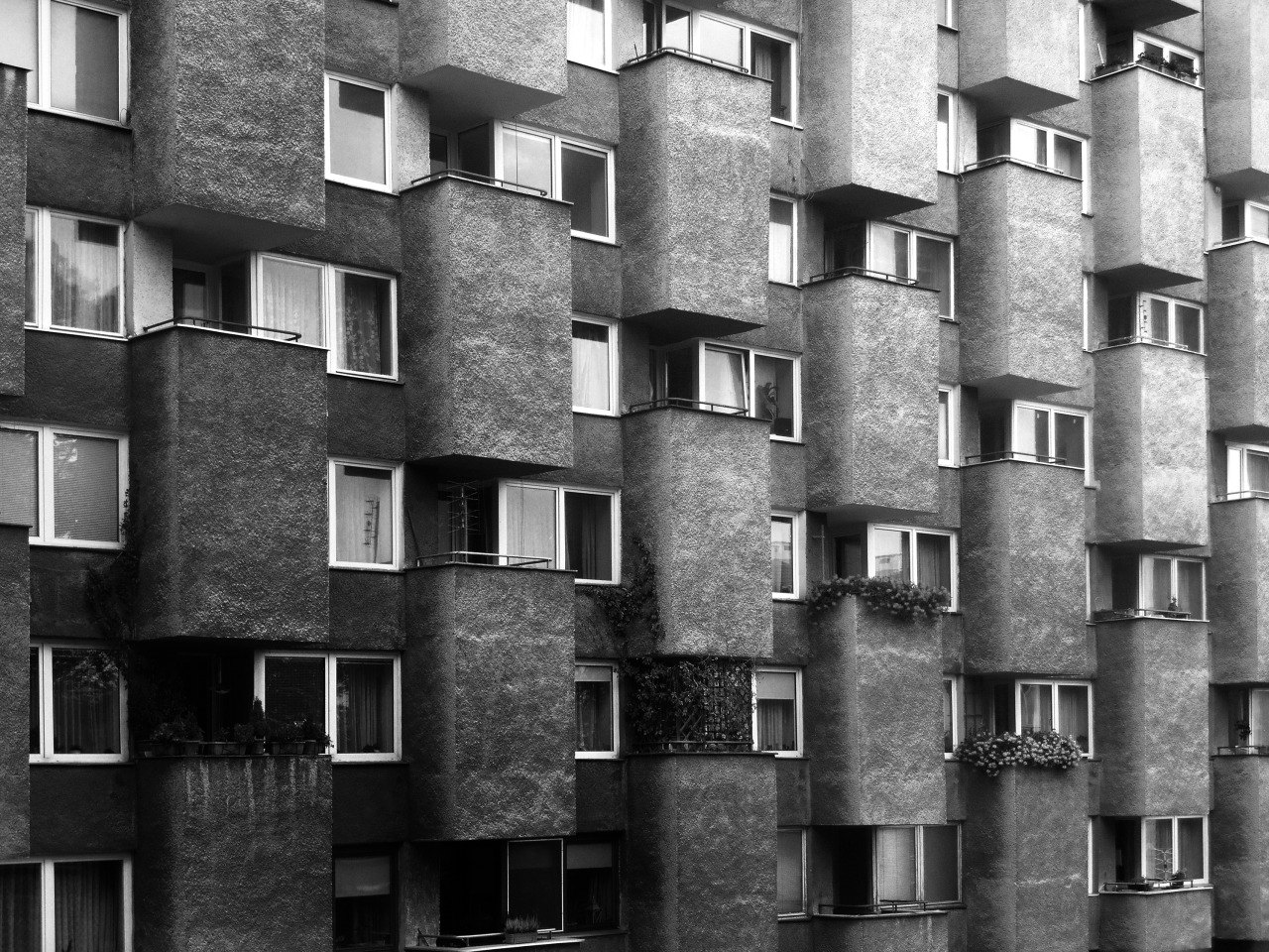 Archillect ID 131676