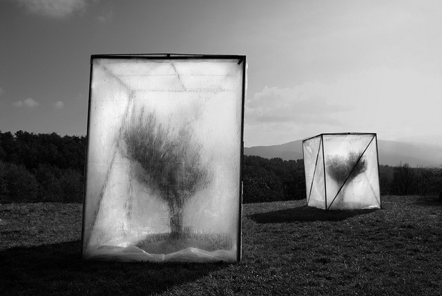 Archillect ID 131742