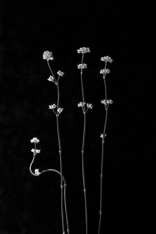 Archillect ID 131922