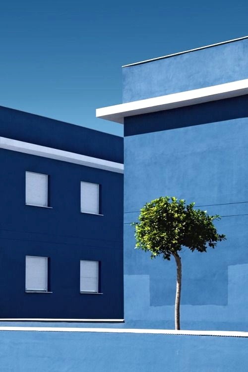 Archillect ID 131923