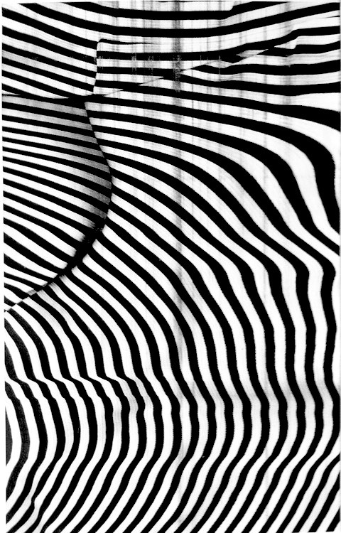 Archillect ID 131975