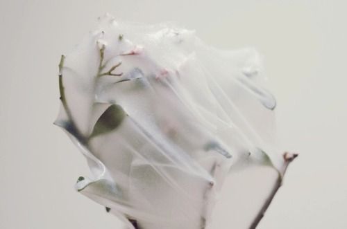 Archillect ID 132135