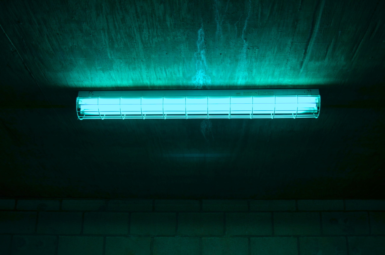 Archillect ID 132440