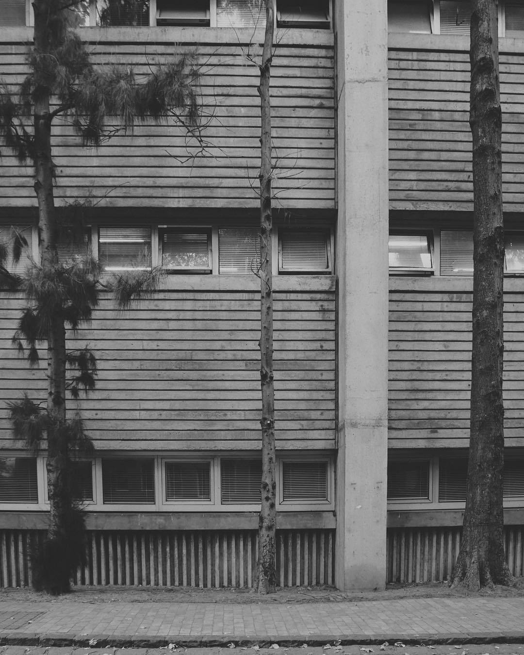 Archillect ID 132645