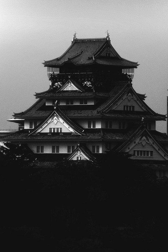 Archillect ID 132812