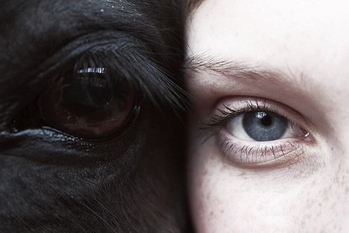 Archillect ID 132870
