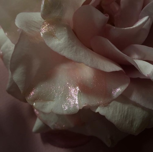 Archillect ID 132948