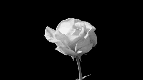 Archillect ID 132956