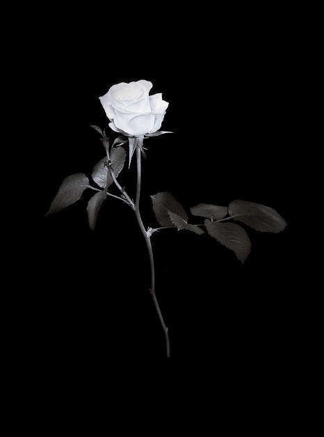 Archillect ID 132961