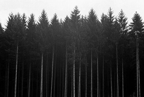 Archillect ID 132980