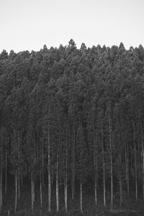Archillect ID 133257