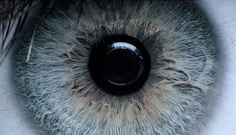 Archillect ID 133317