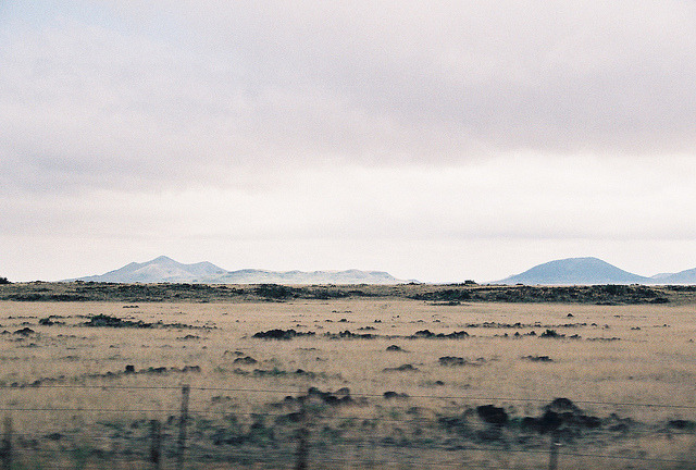 Archillect ID 133338