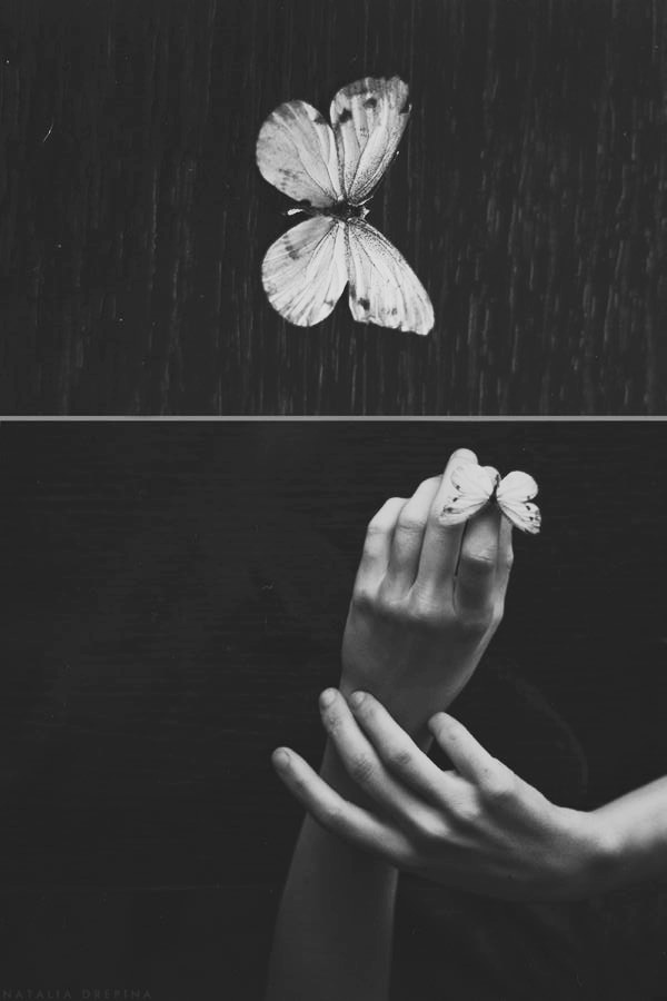Archillect ID 133537