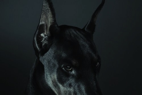 Archillect ID 133704