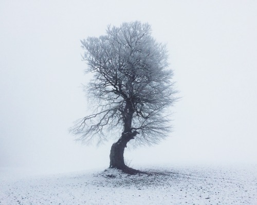 Archillect ID 134159