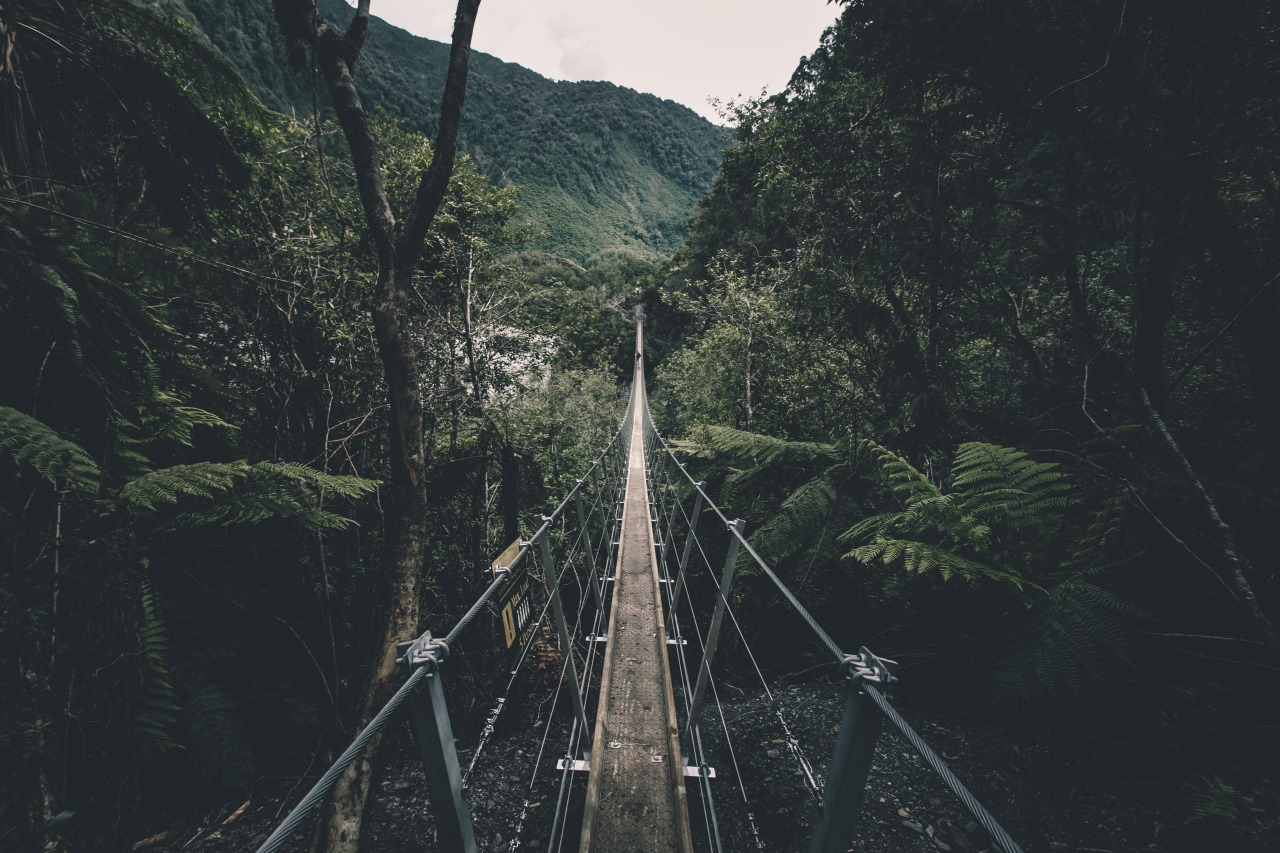 Archillect ID 134271